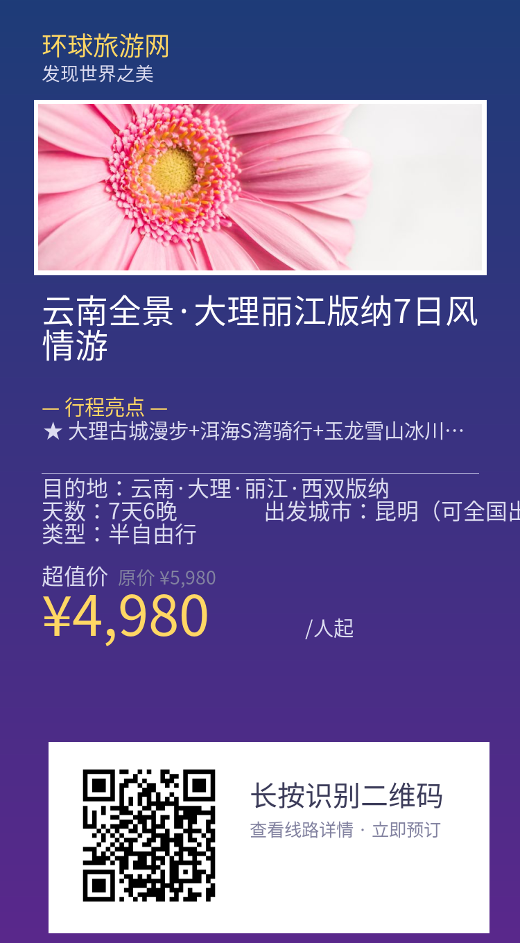 分享海报